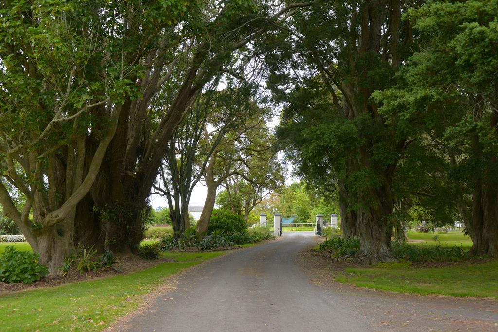 בית הארחה Tuakau 	Lavalla Estate מראה חיצוני תמונה
